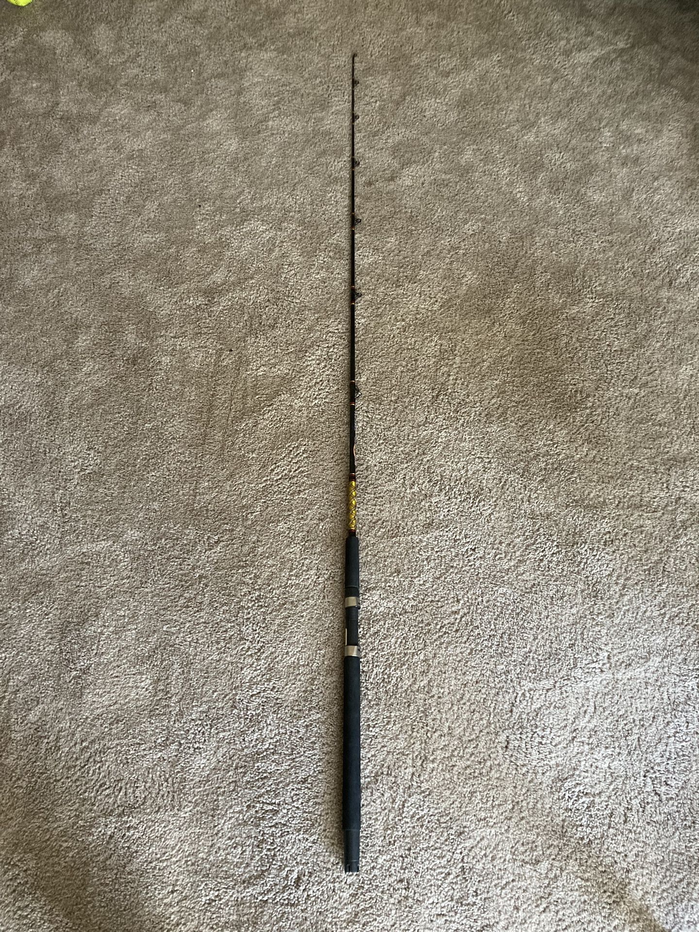 Ocean Fishing Rod
