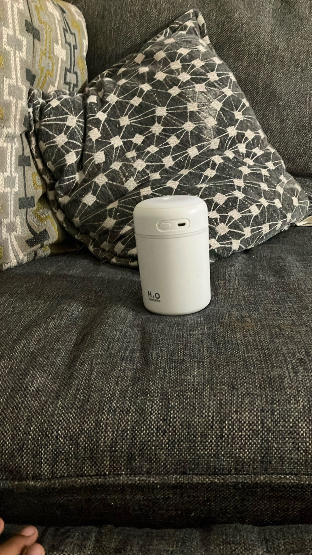 H2O Humidifier 