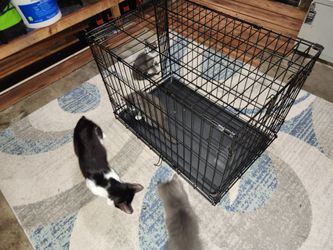 30in. Pet crate one door