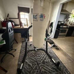 Punching Bag With Stand- Wall Mounted Speed Bag 