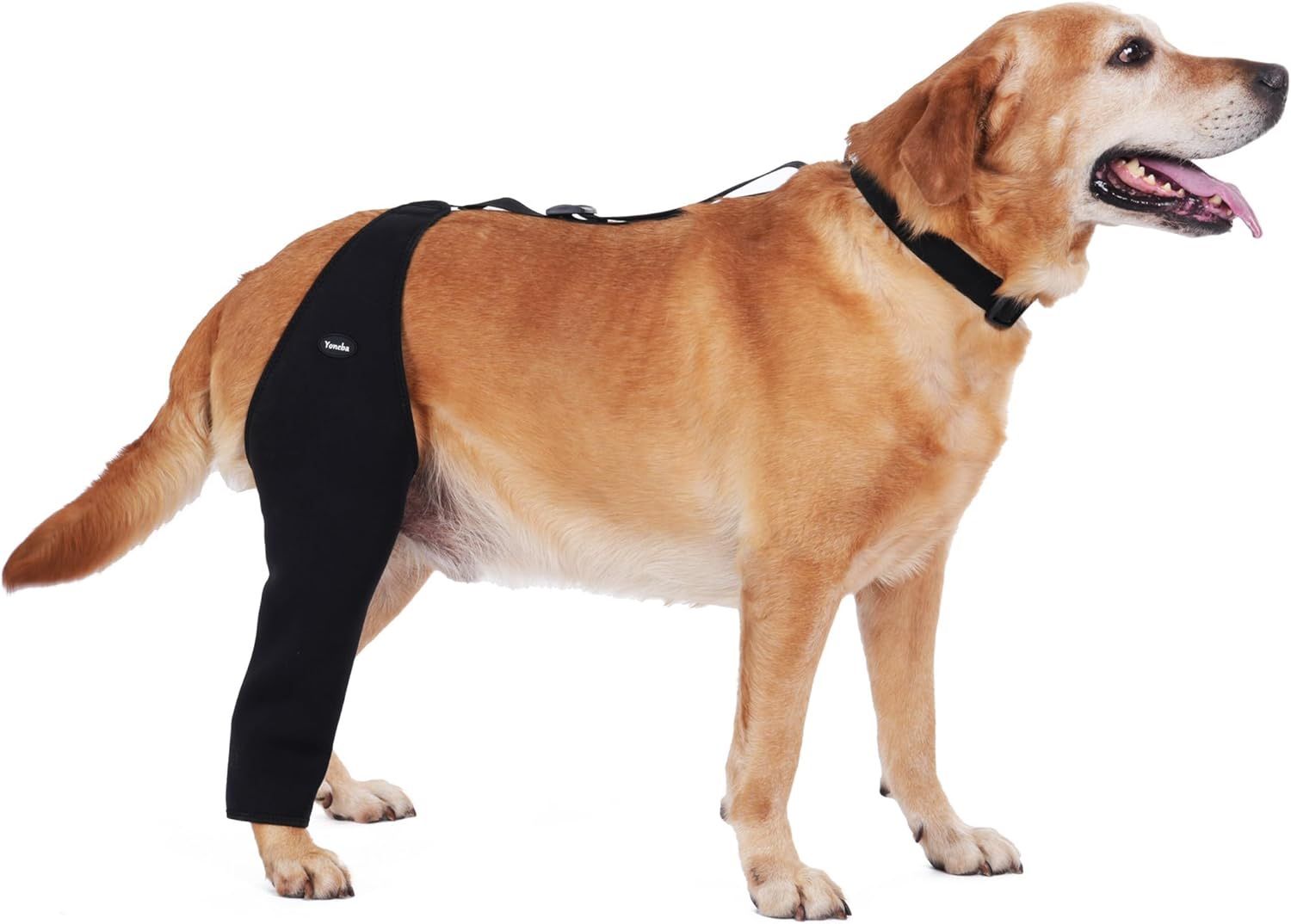 Dog Recovery Sleeve Back Leg Breathable Material Small, Single Leg- Comfortable