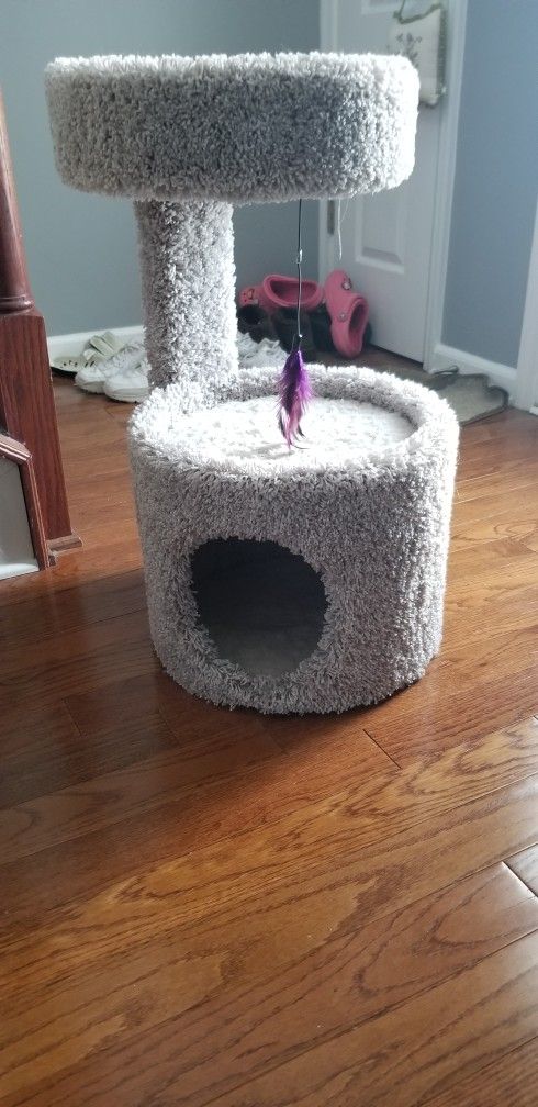 Cat Tree