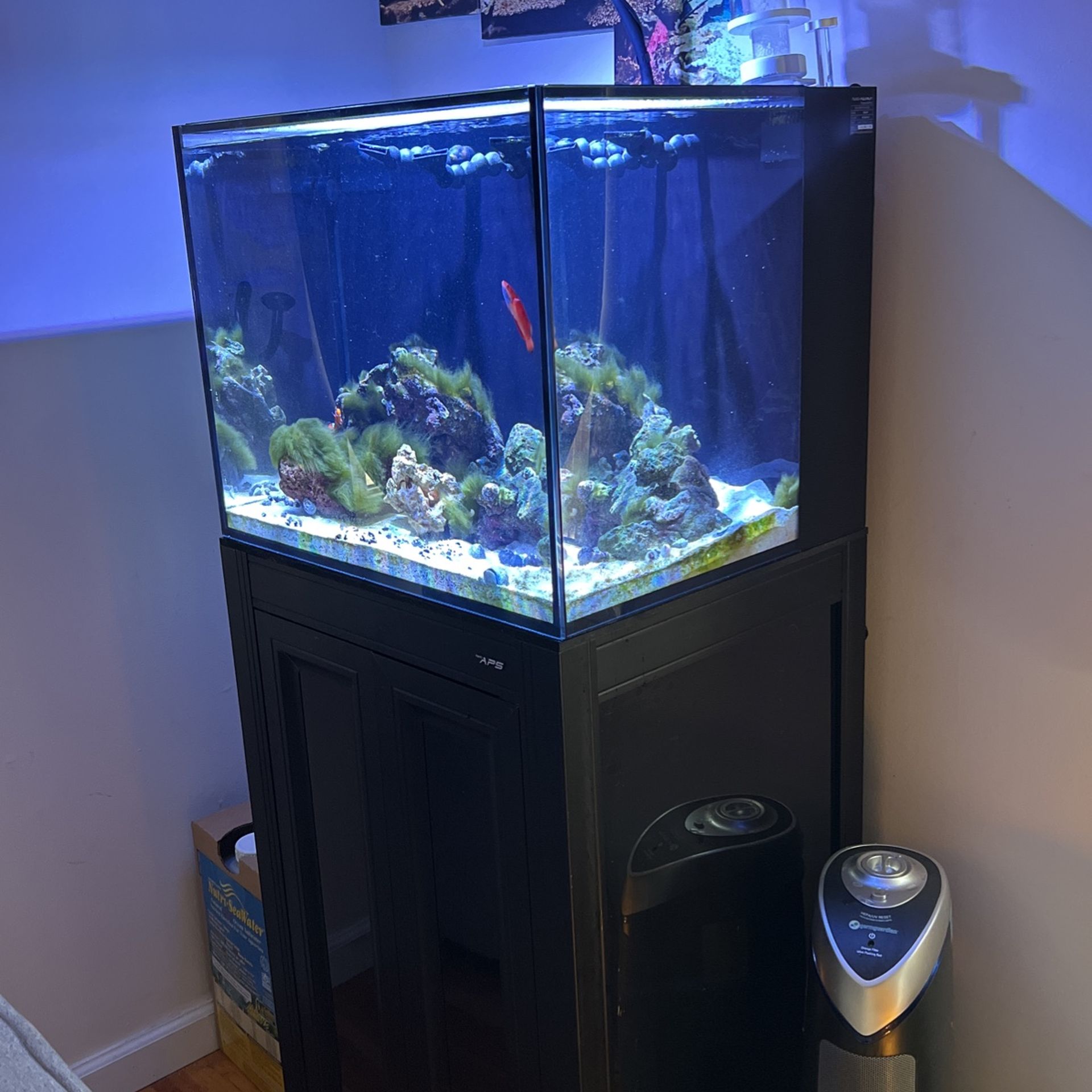 40 Gallon NUVO Fusion AIO Reef Ready Aquarium w/ Stand