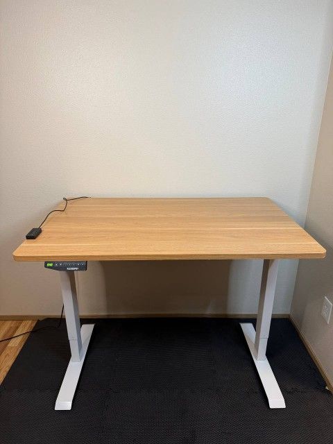 Premium Adjustable Electric Desk Table Home Office Stand Desk Standing FLEXISPOT