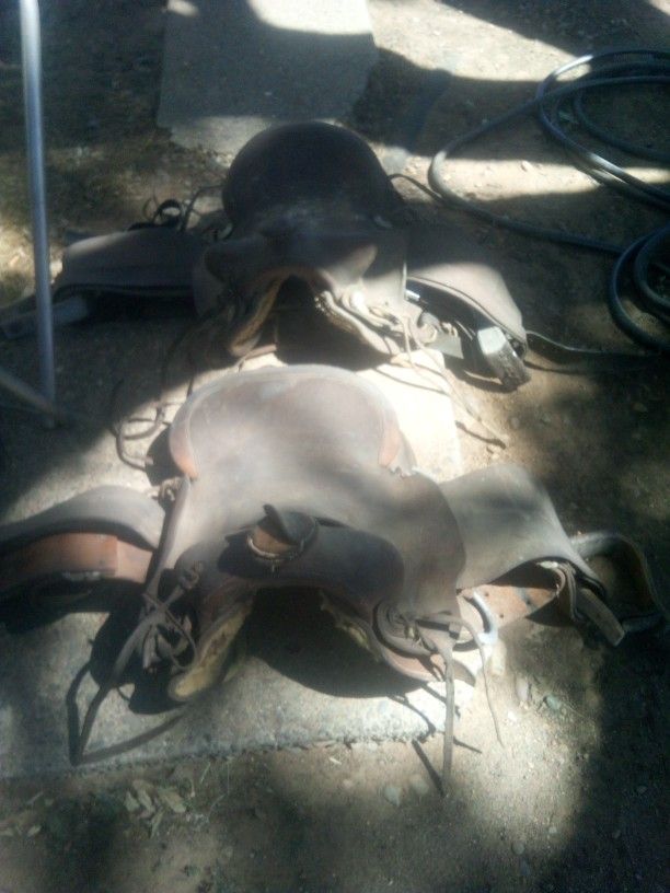 Horse Saddles