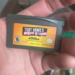 Tony Hawk game boy advance