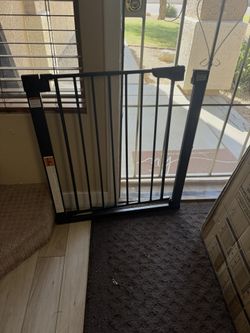 Dog Gate