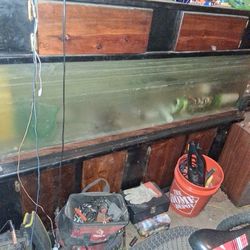 100 Gallon Aquarium