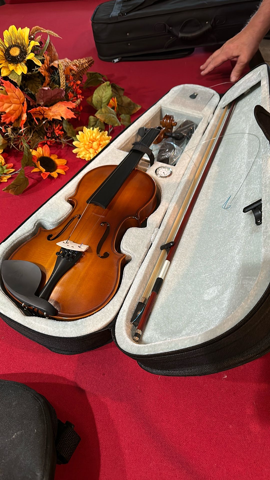 Violin