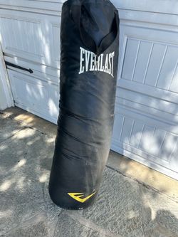 100lb Everlast Punching Bag