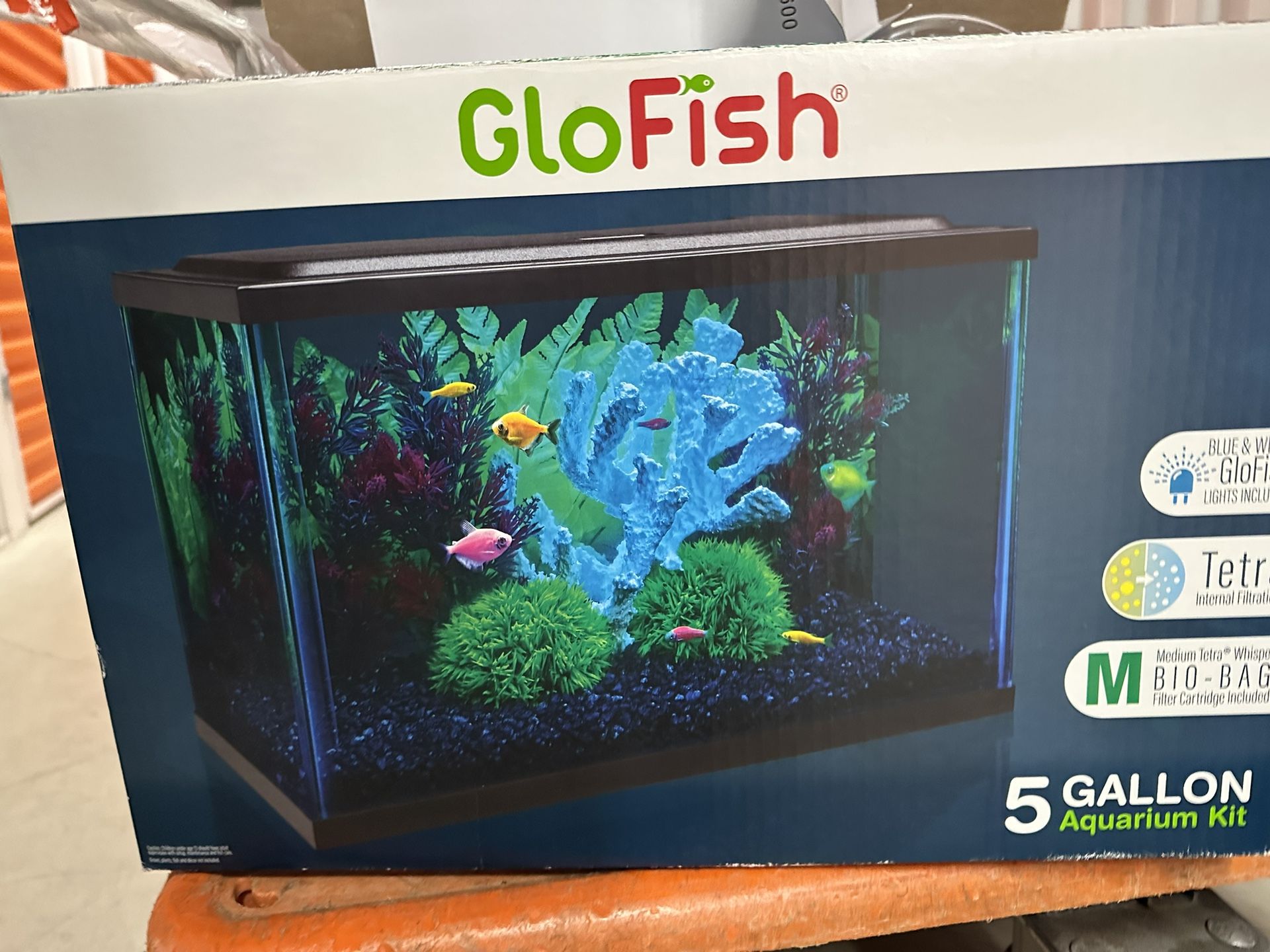 GloFish Tank