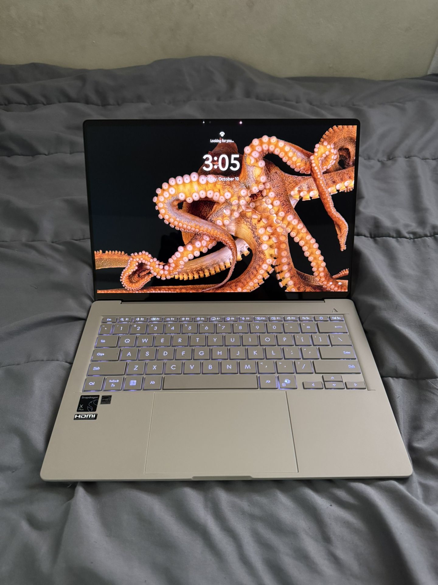 Asus Zenbook A14