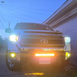 LEDS