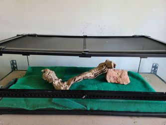 Terrarium for sale