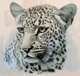 African Leopard singed framed picture