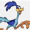 road runner