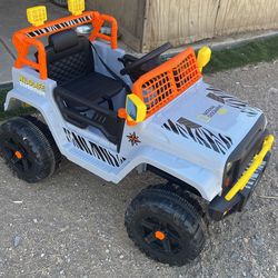 Wildlife Expedition Jeep