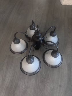The ceiling light