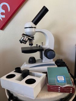 Microscope