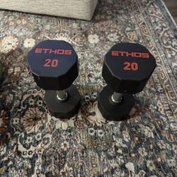 Ethos. 20 Pound Weights. Set 