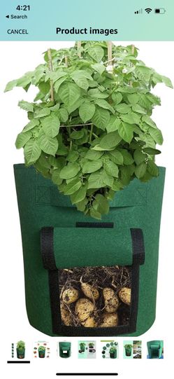 7 Gallons Potato Grow Bags