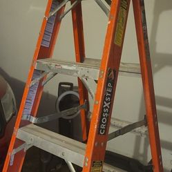 Ladder 6 Feet