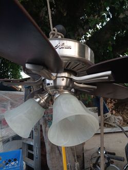 Hunter ceiling fan