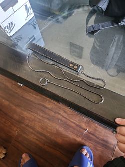 Dog Show Lead For Small Dogs