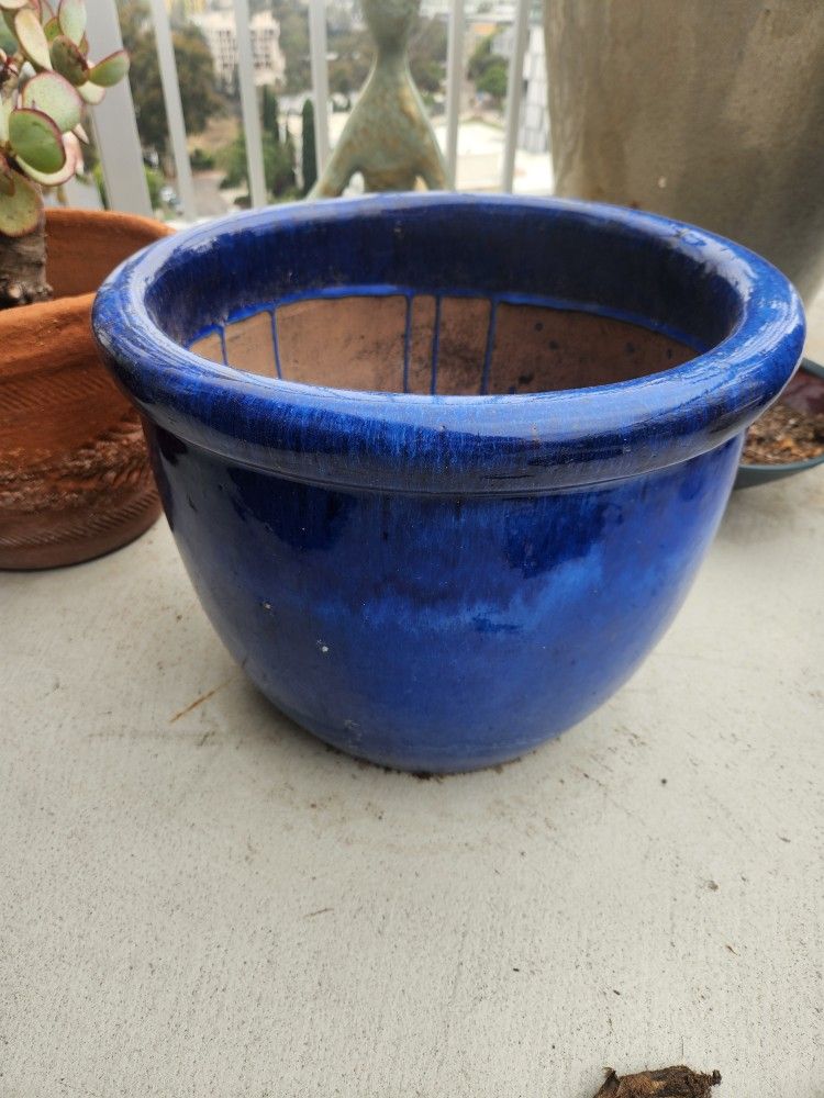 blue ceramic pot for plants