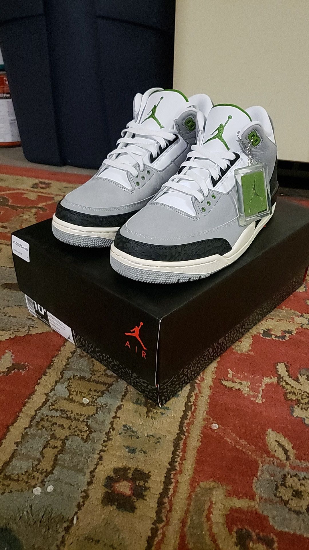 Jordan 3 chlorophyll