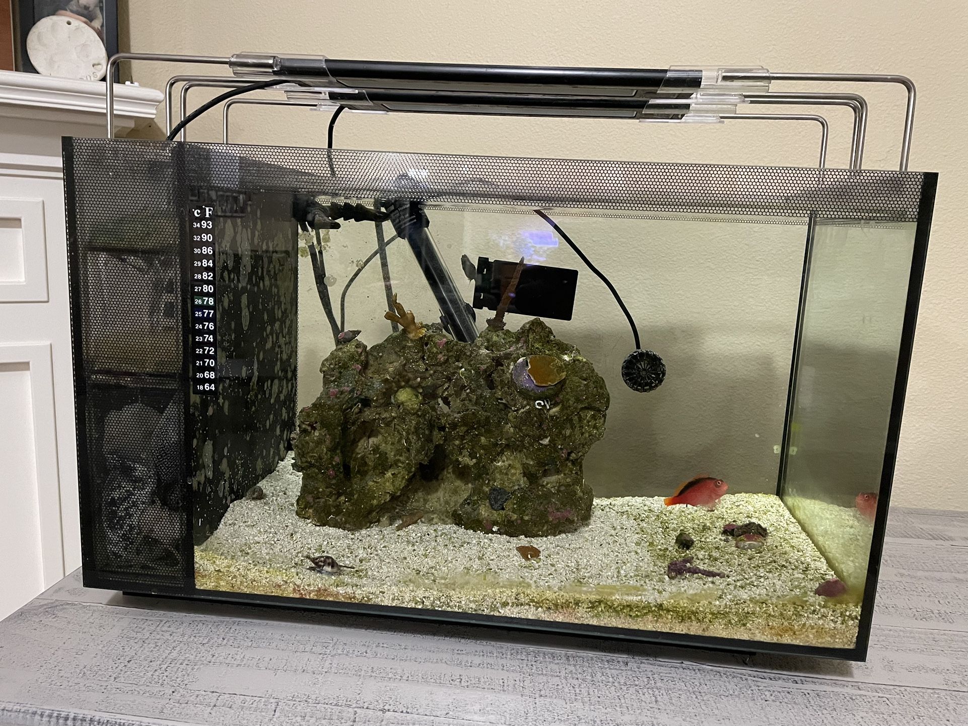 Fluval 13.5 Saltwater Reef Aquarium 