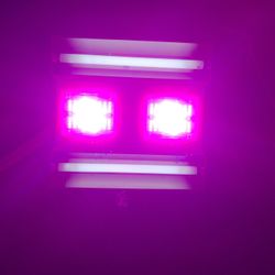 Led Indoor Grow Light