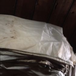 Bags For Trees    Bolsas Para Árboles …