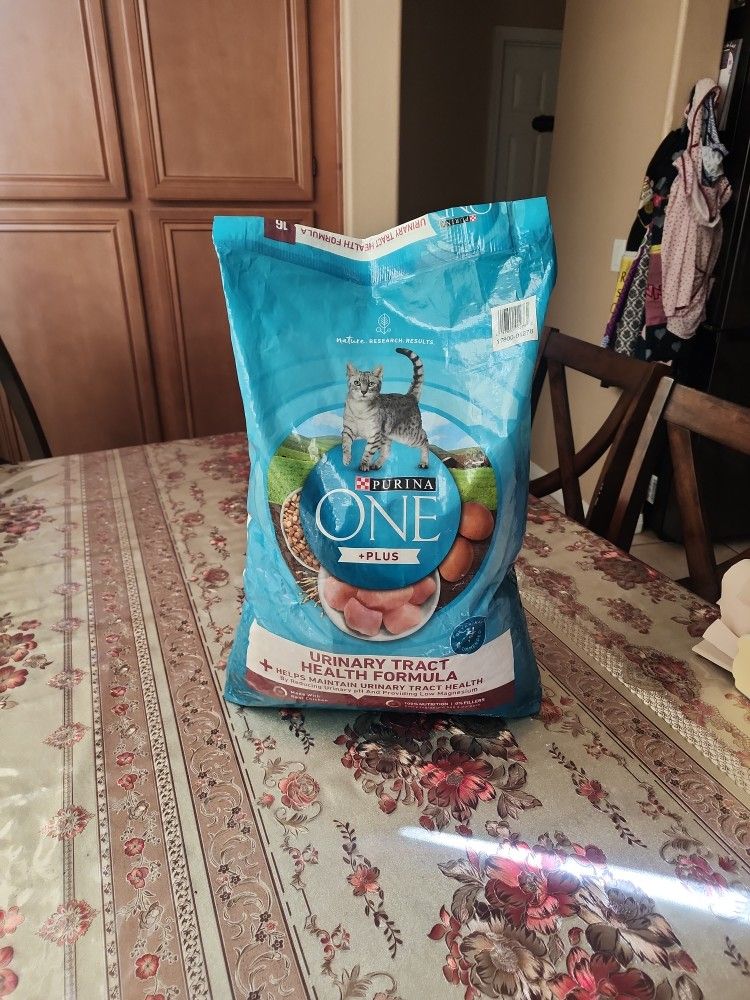COMIDA PARA GATITO
