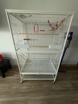 Large bird cage with accessories