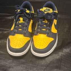 NIKE DUNK low Michigan 