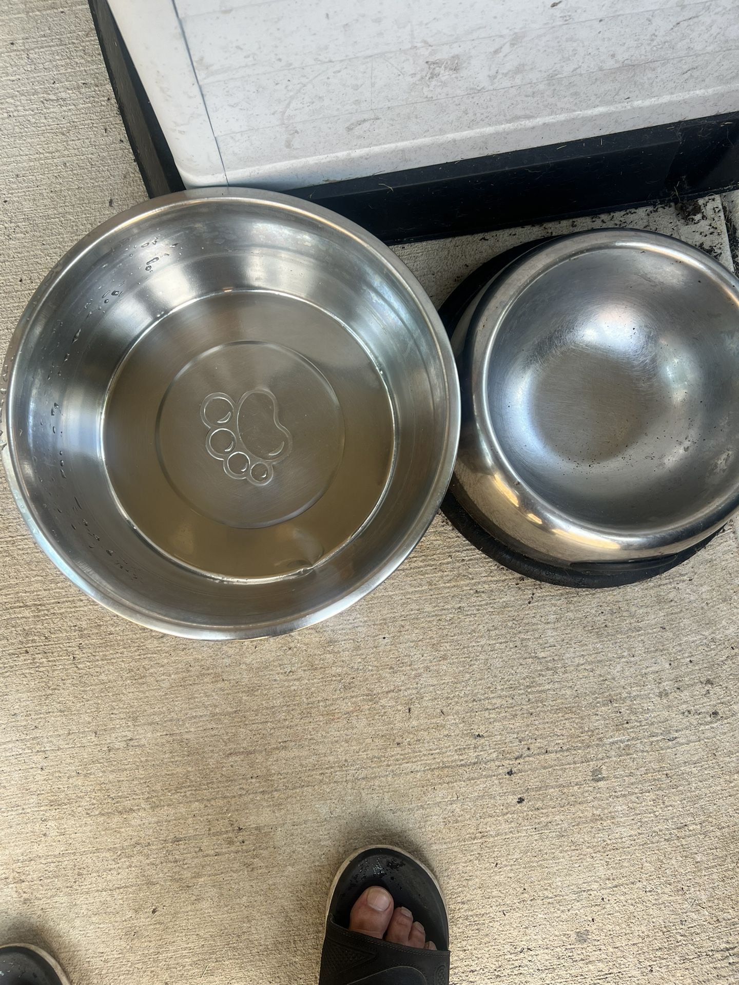 Dog Stuff