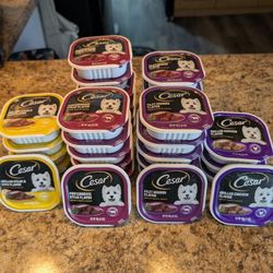 Cesar Wet 3.5 oz dog food, Count 30.