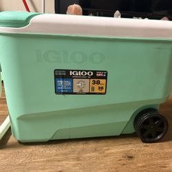 Igloo 38 Liter / 10 Gallon Ice Chest $30