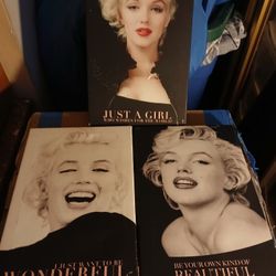 Marilyn monroe / Spiderman Frames