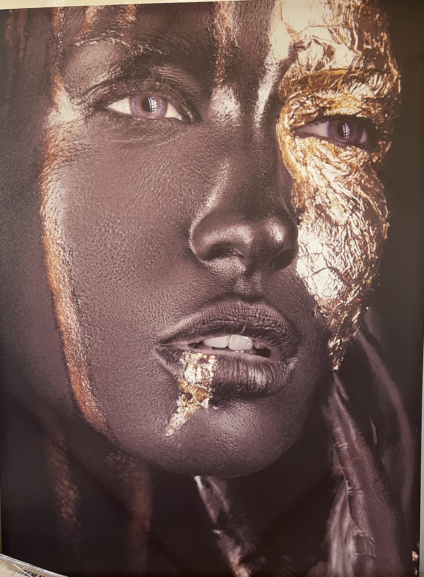 3 Pc Canvas Pictures 