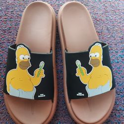 Homer Simpson slides 