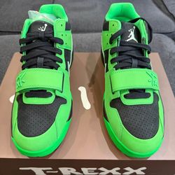 Jordan Travis Scott 9.5