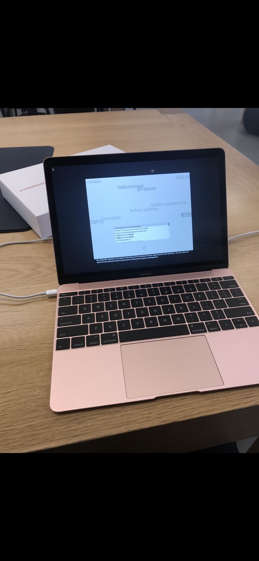 2016 MacBook Rose Gold 12 Inch 