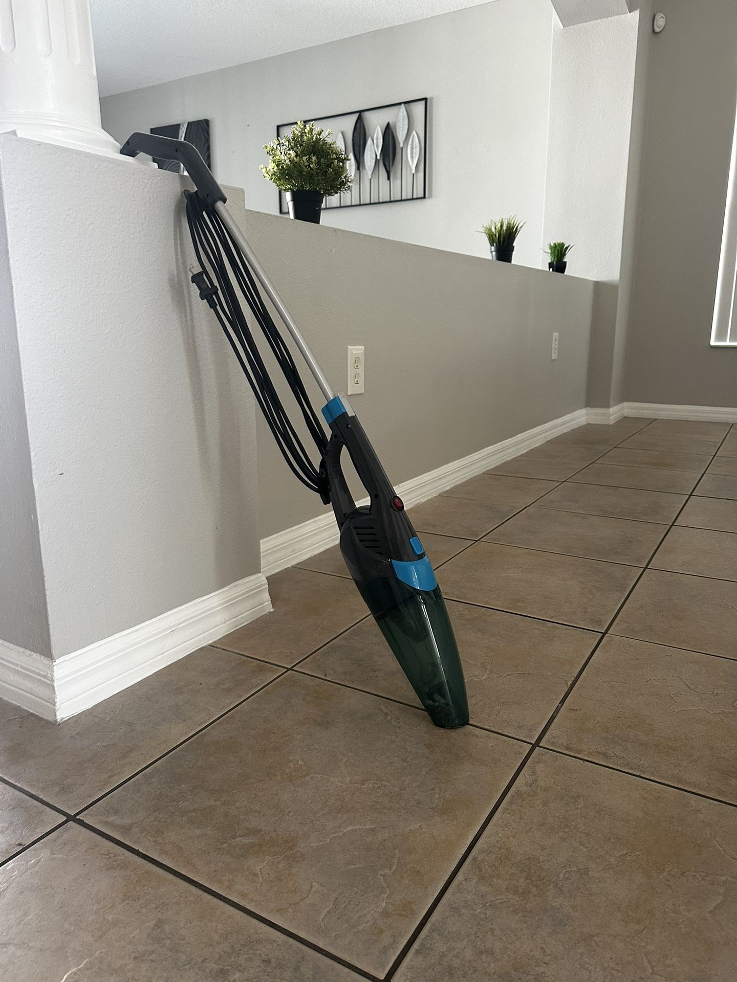 Vacuum cleaner / carpet vacuum cleaner