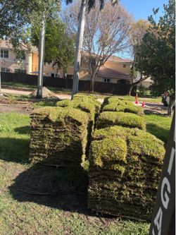 Variety Sod!
