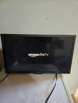 24 inch Insignia Smart TV with wall mount