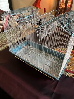 Bird Cage