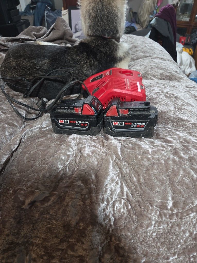 Two 5 Amph Batteries And A Rapid Charger