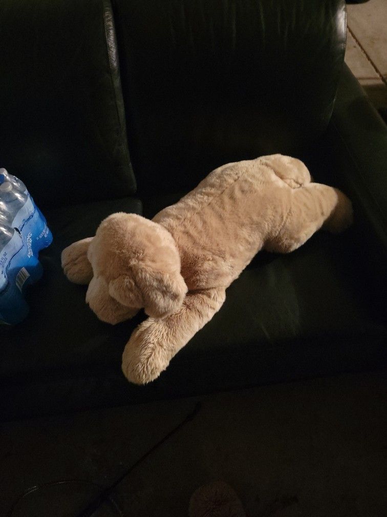 Big Stuffed Dog